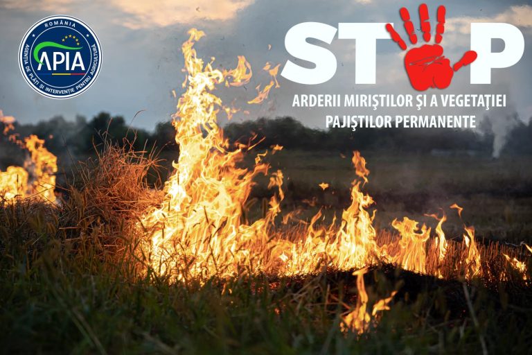 STOP_ARDERI_PAJISTI conv 0